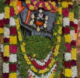 துளசி பூக்கள் அலங்காரத்துடன வீர ஆஞ்சநேயர்