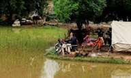 பாகிஸ்தானில் தொடர் மழை, வெள்ளம்; பலி எண்ணிக்கை 1006 ஆக உயர்வு