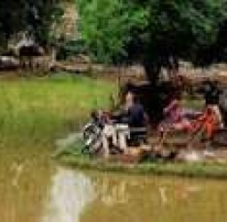 பாகிஸ்தானில் தொடர் மழை, வெள்ளம்; பலி எண்ணிக்கை 1006 ஆக உயர்வு