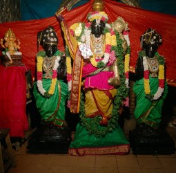 கோலியனூர் ஸ்ரீ வரதராஜ பெருமாள் சர்வ அலங்காரத்தில் பக்தர்களுக்கு அருள் பாலிப்பு!