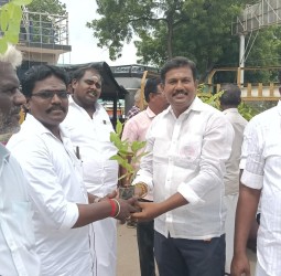 பாளை சுப்பிரமணிய சுவாமி கோயில் அருகே ஆயிரம் மரக்கன்றுகள் வழங்கப்பட்டன