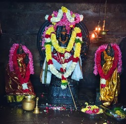 வள்ளிமலை ஸ்ரீ சுப்பிரமணிய சுவாமி கோவிலில் கந்த சஷ்டி விழா 4வது நாள் மலரங்காரத்தில் அருள்பாலிப்பு!