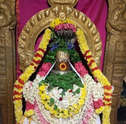 *வந்தவாசி பகுதியில் சனிப் பிரதோஷ வழிபாடு...!*