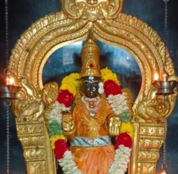 தங்க நிறம் சேலையில் நம் வாசவி.....