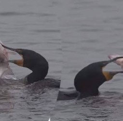 நொடியின் பிடியில்