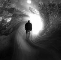 பல் சுவை களஞ்சியம் பகுதி