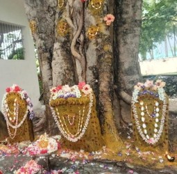 நாக சதுர்த்தி நோன்பு சிறப்பு வழிபாடு...