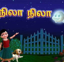 நிலா..நிலா..ஓடி வா!