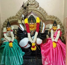 வள்ளி, தெய்வானை சமேத ஸ்ரீ கல்யாண சுப்ரமணியருக்கு சிறப்பு அபிஷேக, அலங்காரம்