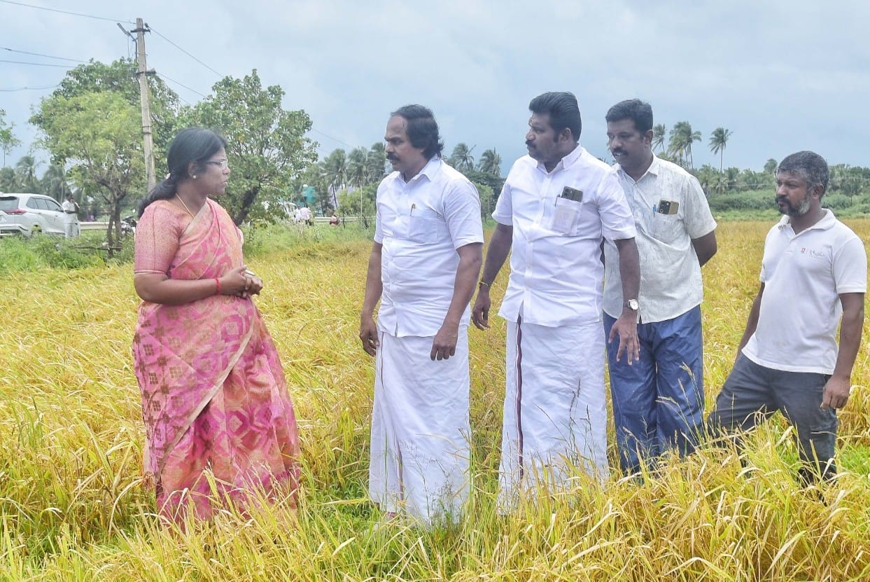 வெள்ளத்தில் பாதிக்கப்பட்ட நெற்பயிர்களை அமைச்சர் மனோ தங்க ராஜ், கலெக்டர் அழகு மீனா ஆய்வு