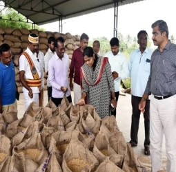 தஞ்சாவூரில் நெல் மூட்டைகளை அனுப்பும் பணிகளை மாவட்ட ஆட்சியர் பார்வையிட்டு ஆய்வு