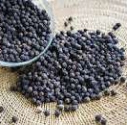 மிளகோ மிளகு.