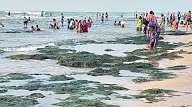 திருச்செந்தூரில் கடல் 100 அடி உள்வாங்கியது