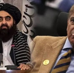 ஆப்கனுடன் விளையாடுவதை பாகிஸ்தான் நிறுத்தி கொள்ள வேண்டும் - தலிபான் வெளியுறவுத்துறை மந்திரி எச்சரிக்கை