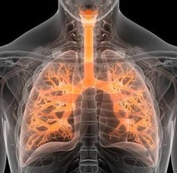 சுவாச நோய்களுக்கு மருந்து: இந்தியாவில் கண்டுபிடிப்பு