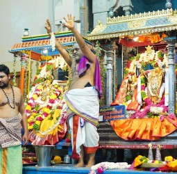 வாலசுப்பிரமணிய சுவாமி கோயிலில் திருக்கல்யாண உற்சவம்