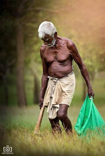 இனி (முது)மை