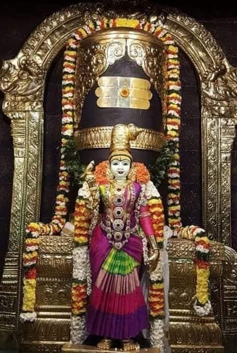 மதுரை மீனாட்சிஅம்மன் தனி சிறப்புகள்