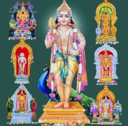 அறுபடை வீடு