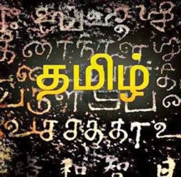 தமிழ் மொழியின் அழகு