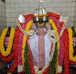 சண்முகருக்கு கந்த சஷ்டி விழா....