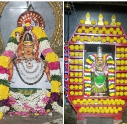 ஸ்ரீ மீனாட்சி அம்மன் லட்டு தேர் அலங்காரம்....