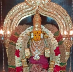 சிறப்பு அலங்காரத்தில் நம் ஸ்ரீ வாசவி.....