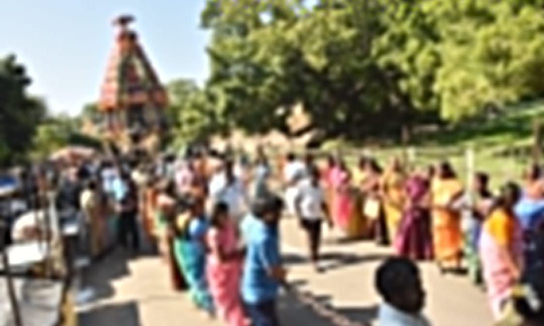 ஸ்ரீதலசயன பெருமாள் கோயிலில் நேற்று காலை பூதத்தாழ்வாரின் அவதார திருவிழா