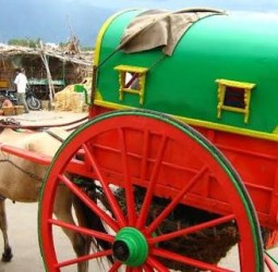 குதிரை வண்டி