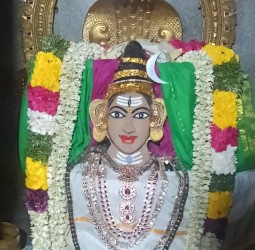 சனி மஹா பிரதோஷ வழிபாடு....