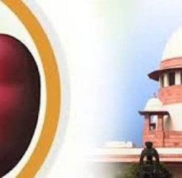 கிட்னி முறைகேடு வழக்கு; தமிழக அரசு கோரிக்கையை சுப்ரீம் கோர்ட் ஏற்க மறுப்பு