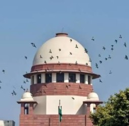 தகவல் ஆணையர்கள் நியமன விவகாரம்: தமிழக அரசுக்கு சுப்ரீம் கோர்ட்டு புதிய உத்தரவு