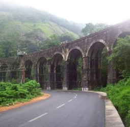 அருங்கனி