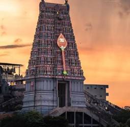 சூரசம்ஹாரம் நடக்காத ஒரே ஒரு முருகன் தலம்