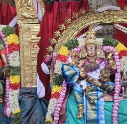 மதுரை அருள்மிகு மீனாட்சி_சுந்தரேசுவரர்_திருக்கோயில்-நவராத்திரி_திருவிழா*-2025