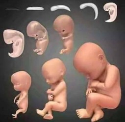 மனித உடம்பின் 99 இரகசியங்கள் !