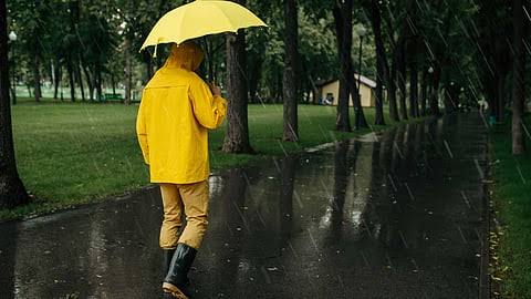 மழைக்கால எச்சரிக்கை... நோய்த் தொற்றுகளை தடுக்க இவையெல்லாம் அவசியம் மக்களே!