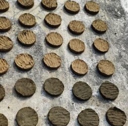 அந்நாட்களில் வீட்டு சுவர்களில் ஏன் வறட்டி காய வைக்க வேண்டும் ? இந்தப் பழக்கம் ஏன் வழக்கமானது?