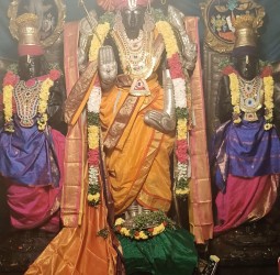 கோலியனூர் ஸ்ரீ வரதராஜ பெருமாள் ஸ்ரீ சிக்குதாடை கொண்டை ராஜ அலங்காரத்தில் பக்தர்களுக்கு அருள் பாலிப்பு!