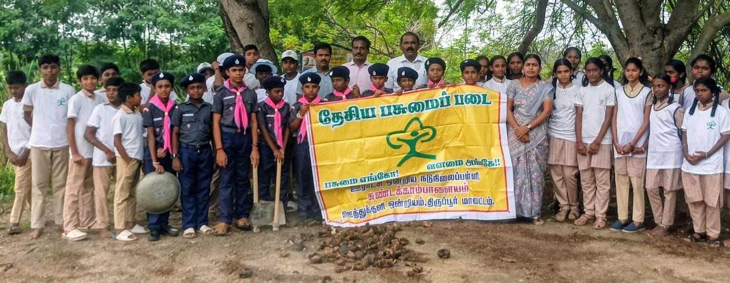 தேசிய பசுமைப்படை மாணவர்கள் பனை விதைகள் நடவு