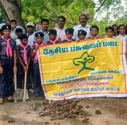 தேசிய பசுமைப்படை மாணவர்கள் பனை விதைகள் நடவு
