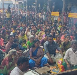 வள்ளி-தெய்வானை உடனமர் சுப்பிரமணியர் திருக்கல்யாணம்