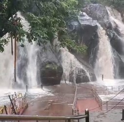 குற்றாலம் அருவிகளில் தண்ணீர் ஆர்ப்பரித்து கொட்டுகிறது