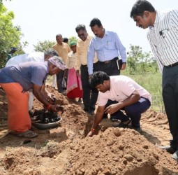 குப்பைக்கிடங்கு வளாகத்தில் பனை விதைகள் நடும் பணி