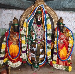*தெள்ளார் ஸ்ரீ ஆதி நாராயண பெருமாள் திருபவித்ர உற்சவம்*