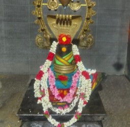 பிரதோச வழிபாட்டில் அரும்பூர் அக்னீபுரீஸ்வரர்