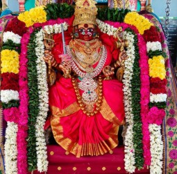 ஸ்ரீ முத்தாலம்மன் ஆலயத்தில் நவராத்திரி விழா 7-ஆம் நாள் கற்பகாம்பாள் அலங்காரத்தில் அரும்பாலிக்கும் காட்சி
