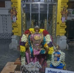 ஆவணி மூல உற்சவம் 2-ஆம் நாள் நரிகளை பரிகளாக்கிய படலம் அலங்காரத்தில்.........