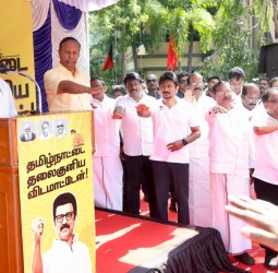 அண்ணா அறிவாலயம் அண்ணா சிலை முன், முதல்வர் ஸ்டாலின் தலைமையில் திமுகவினர் உறுதிமொழி