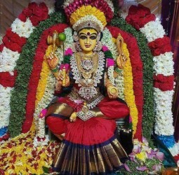சுருளையில் பிரசித்தி பெற்ற ஸ்ரீபெருமாள் ஸ்ரீஅம்மன் கோயில் கொடை விழா